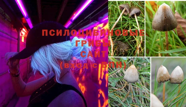 Альфа ПВП Алексин