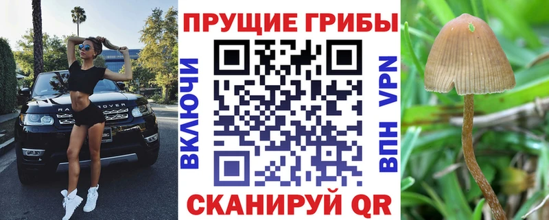 Галлюциногенные грибы мицелий  Жирновск 